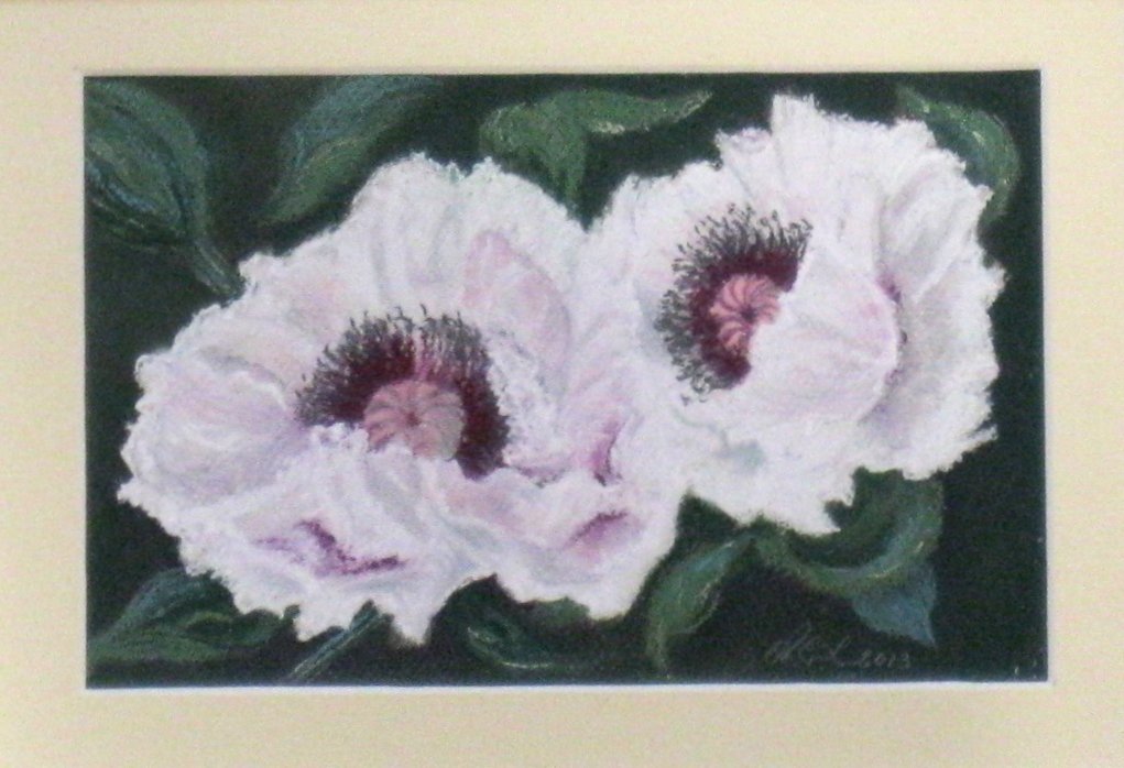 Orientaalse Papavers