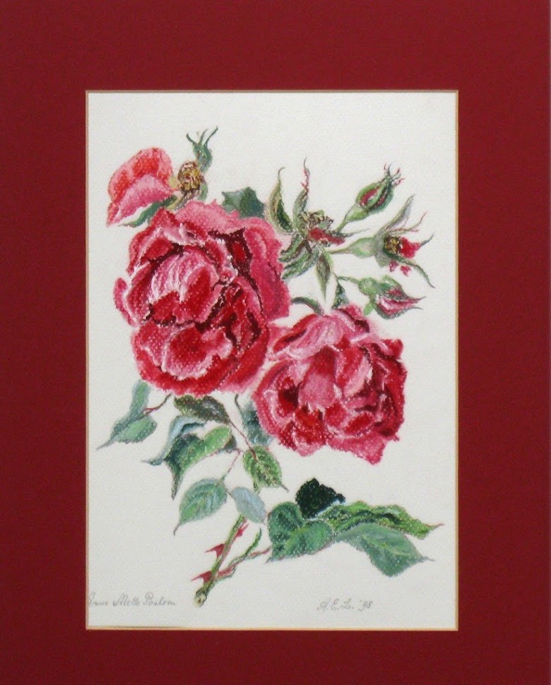 Rosa Anne-Mette Poulsen