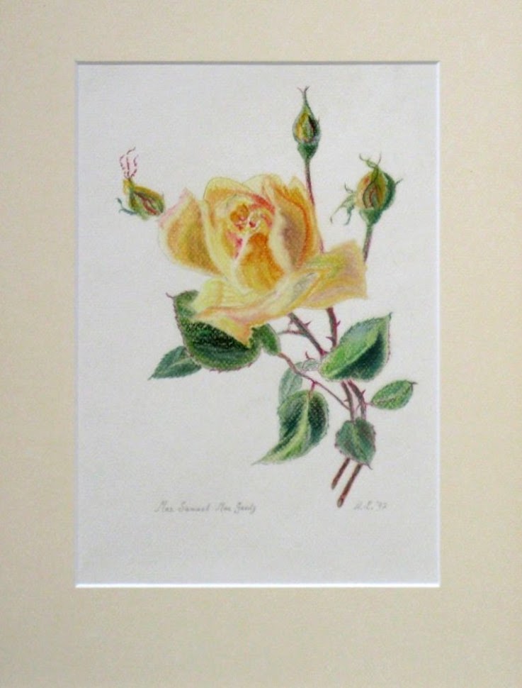 Rosa Mrs. Samuel Mac Grady